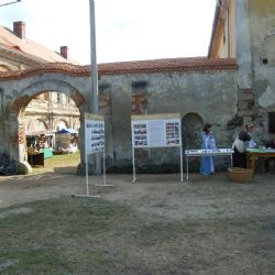 Folková zpěvačka Pavlína Jíšová zazpívá pro zámek Čečovice