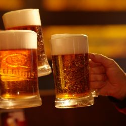 Gambrinus poprvé oslaví chmelobraní: Všechno pivo do hospod uvařil z čerstvého chmele