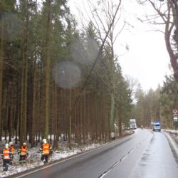 Hasiči v kraji vyjížděli k sedmdesátce popadaných stromů a utržených plechů