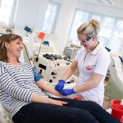 Hemofilie není jen nemoc králů. Přijďte v Plzni darovat krevní plazmu
