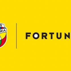 Hlavním partnerem Viktorky je Fortuna