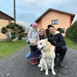 Homesharing funguje v Pošumaví rok, stále hledá další hostitele