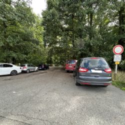 Houbaři vzali plzeňské lesy útokem, lesáci nemohou do lesů