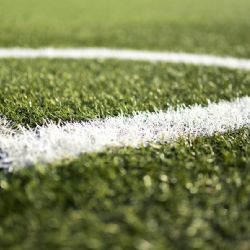 Hřiště i loděnice. Plzeň sportovním klubům rozdělí téměř 13,5 milionu
