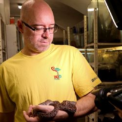 Hroznýš Dumerilův v expozici Akva Tera má mláďata