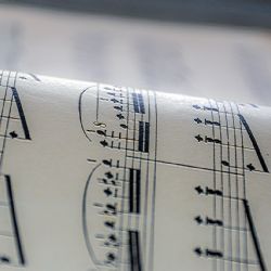 Hudební výchova či informatika. 21. ZŠ rozšiřuje bilingvní výuku