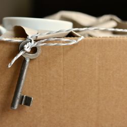 Jak vybrat vhodnou stěhovací firmu