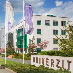 Jazyky, herní tvorba, nanomateriály. Letní školy ZČU lákají