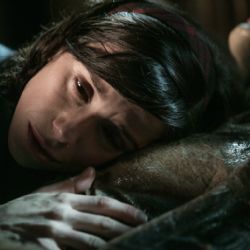 Kino Beseda představí nejlepší filmy loňského roku. V pondělí poprvé 
