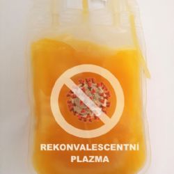 Nemocnice začínají odebírat rekonvalescentní plazmu k léčbě covidu