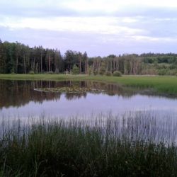 Kokotské rybníky přivítají v sobotu ochranáře