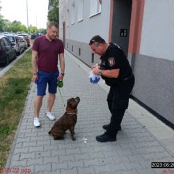 Kontroly pejskařů na Borech dopadly na výbornou 