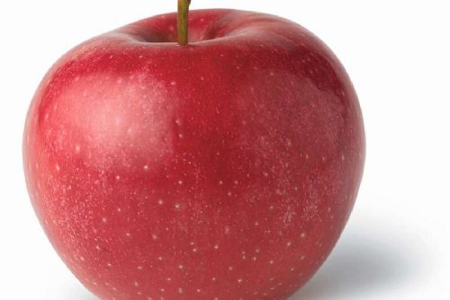 Foto: Kraj podpoří slavnosti jablek