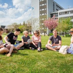 Letních škol na ZČU přibylo, studenti mohou podávat přihlášky