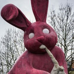 Lidé v Plzni hlasují o budoucnosti růžového králíka
