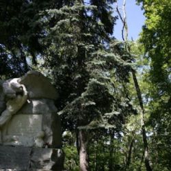 Lobezský park se dočká obnovy