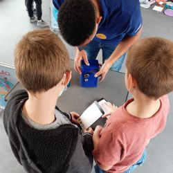 Loni zvítězily. Teď děti z Plzeňska znovu poměří znalosti o financích s vrstevníky 