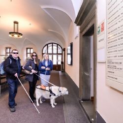 Magistrát města Plzně chce být přívětivý pro klienty se zdravotním omezením