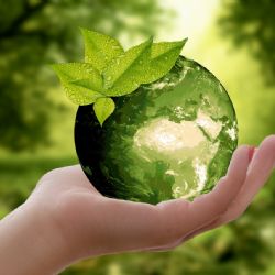 Město Plzeň podpoří environmentální vzdělávání dětí 