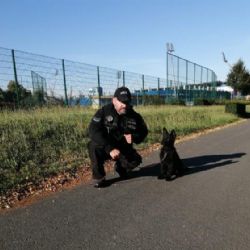 Městská policie představuje budoucí chlupatou posilu 