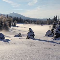 Mikroregion Šumava-západ připravuje turistické balíčky i v době koronaviru