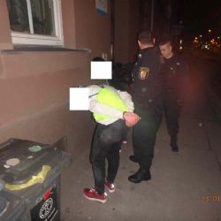 Mladík nastříkal hlídce strážníků v Plzni slzný sprej do očí