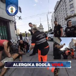 Muže bodla vosa, upadl do bezvědomí