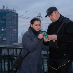 Na chodníku v centru Plzně našla ledňáčka