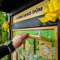 Na Dubové hoře v Liticích vznikla naučná stezka o lese a životě v něm