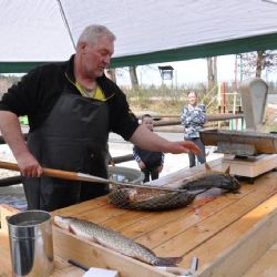 Na Košináři ve středu a čtvrtek prodají velikonoční ryby
