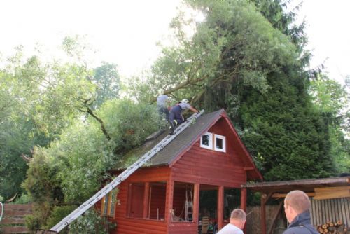 Foto: Na plzeňském Výsluní padla vzrostlá vrba do zahrady