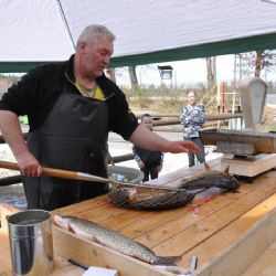 Na Škaredou středu začne u Košináře velikonoční prodej ryb