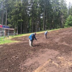 Na Špičáku revitalizují sjezdovky kompostem ze šumavských luk
