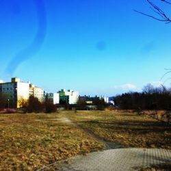 Na Vinicích vznikne nový park, jeho součástí bude i psí hřiště  