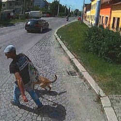 Na zastávce Částkova rozbil sklo trolejbusu. Neznáte ho?