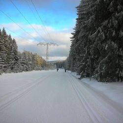Nadace ČEZ pomůže s úpravou tras v kraji. Příjem žádostí odstartoval