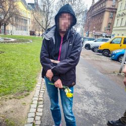 Narcisky ze záhonu v sadech si chtěla natrhat domů