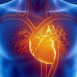 Nemocnice v Domažlicích otevře ambulance kardiologie, angiologie a praktika