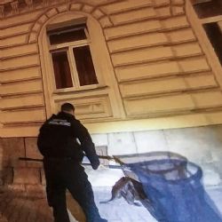 Noční Plzní kráčel bobr, po odchytu skončil zpátky v řece