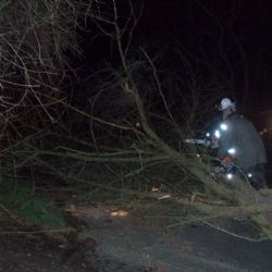 NP Šumava varuje o víkendu před silným větrem