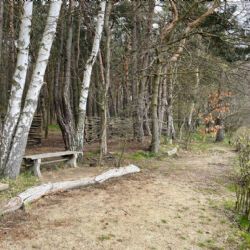 Nudistická pláž u Boleváku nabídne více soukromí