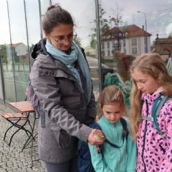 Omráčená křepelka z centra Plzně je zpátky v přírodě