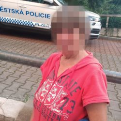 Opilá cizinka dala v Plzni revizorce facku