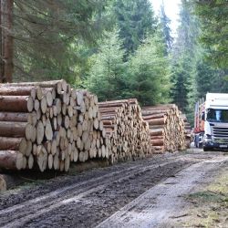 Otevírá se Medvědí stezka, uzavírka na Schwarzenberském kanále trvá