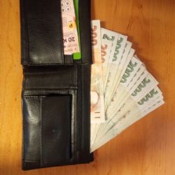 Peněženka s více než 28 tisíci korunami se v Plzni vrátila majiteli