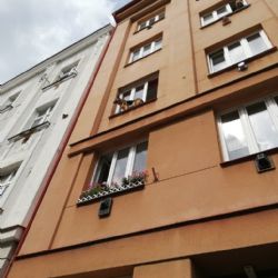 Pes uvízl na parapetu slovanského bytu 