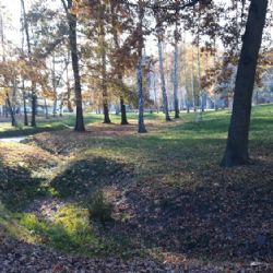 Pět projektů z kraje bojuje v ekologické soutěži