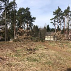 Pět set nových stromků omladí park v Konstantinových Lázních