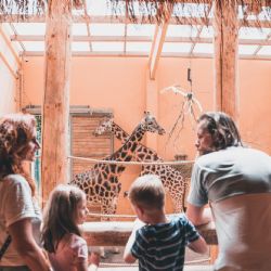 Pivovar a zoo patří mezi 15 nejnavštěvovanějších turistických cílů v Česku