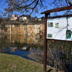 Plzeň chce zlepšit kvalitu vody v Košuteckém jezírku
